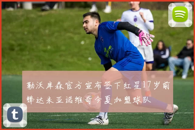 勒沃库森官方宣布签下红星17岁前锋达米亚诺维奇今夏加盟球队